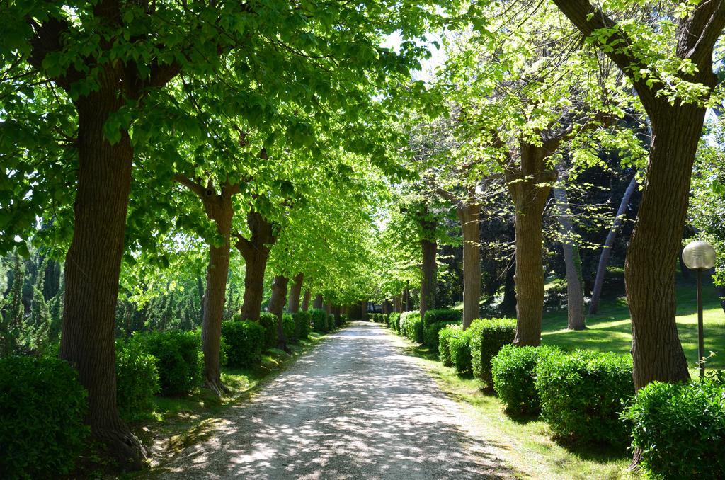 بورتو سان جورجيو Villa Montanari Rosati المظهر الخارجي الصورة
